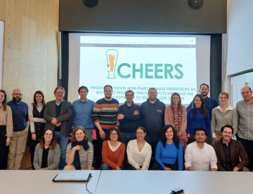 CHEERS partners meet for the General Assembly in Alovera